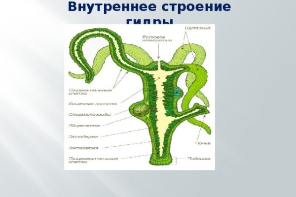 Ссылки для tor