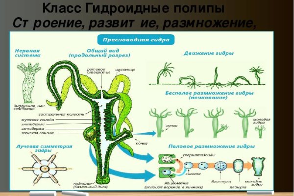 Кракен маркет наркотики