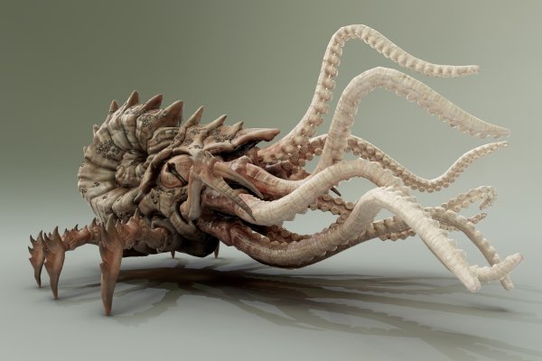 Kraken cc ссылка